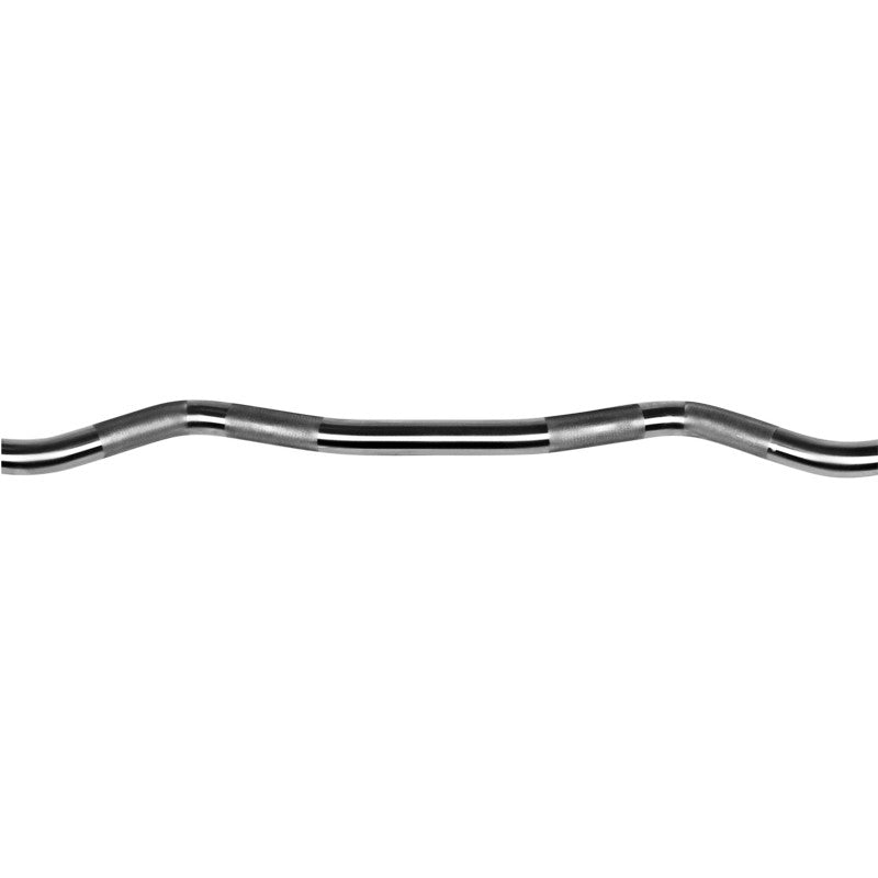 Stainless EZ Curl Gym Bar