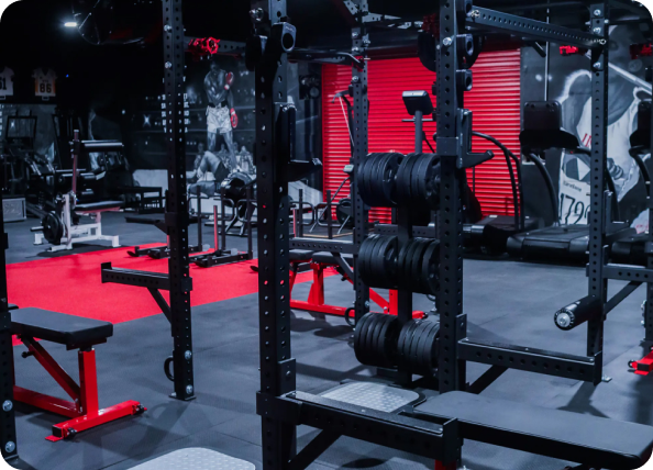 Gym Equipment