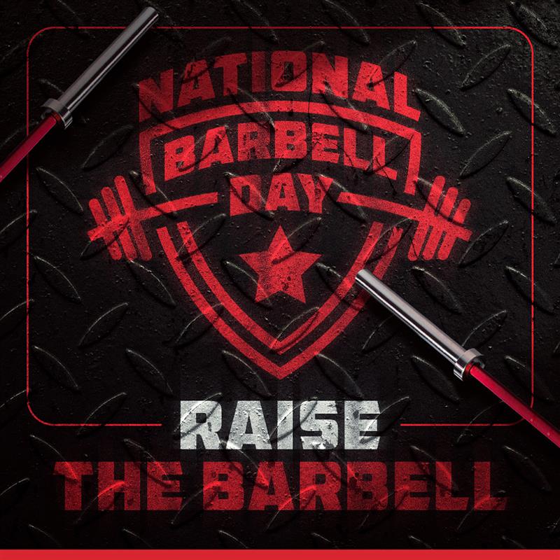 Cerakote vs Hard Chrome vs Stainless Steel: Which Barbell Finish Is Right for You? - American Barbell