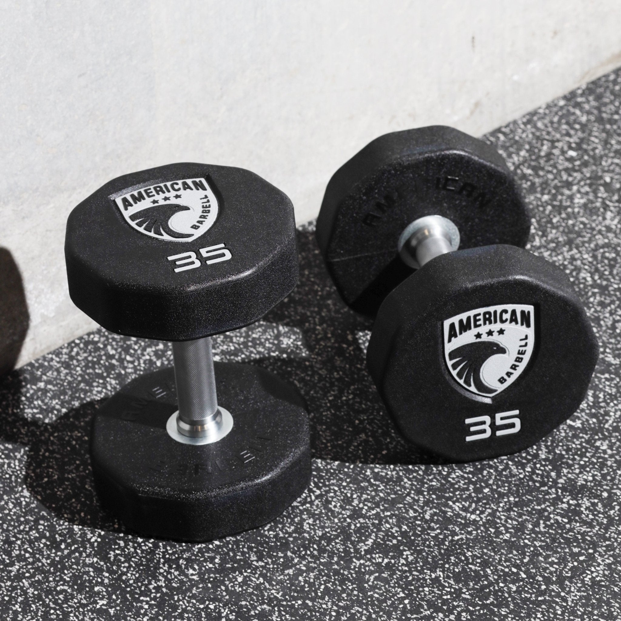 10 - Sided Urethane Dumbbells - American Barbell, Dumbbells