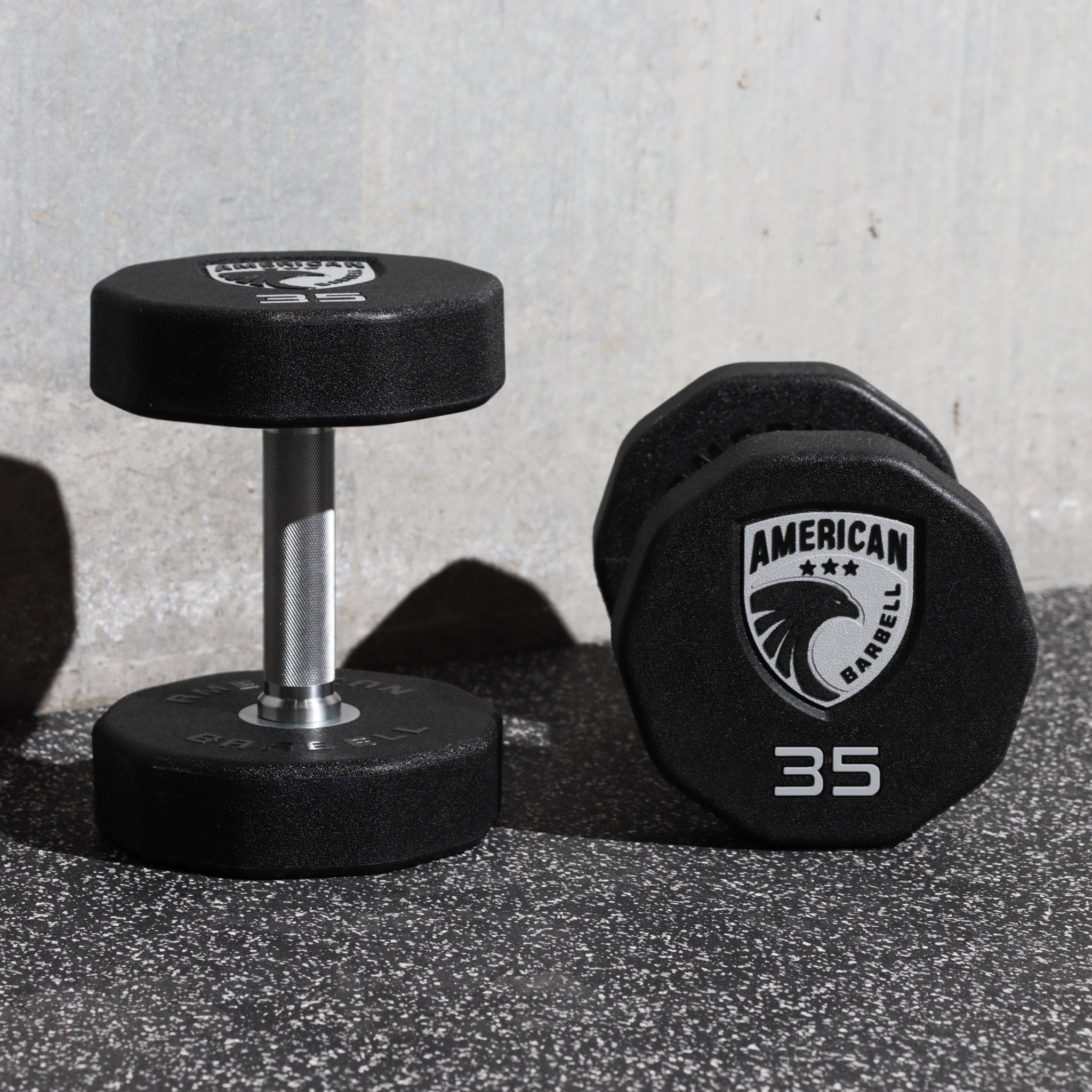 10 - Sided Urethane Dumbbells - American Barbell, Dumbbells