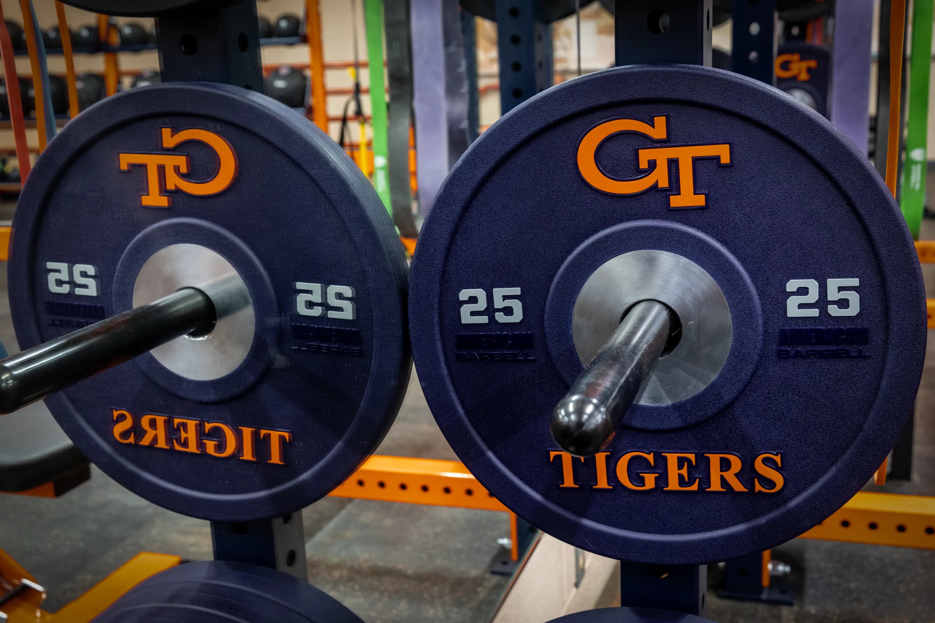 American Barbell - Gym Equipment American Barbell - Gym Equipment