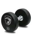 Series IV Urethane Dumbbells