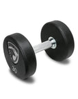 Series IV Urethane Dumbbells