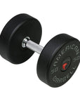 Series I Commercial Grade Urethane Dumbbells - American Barbell, Commercial Weights